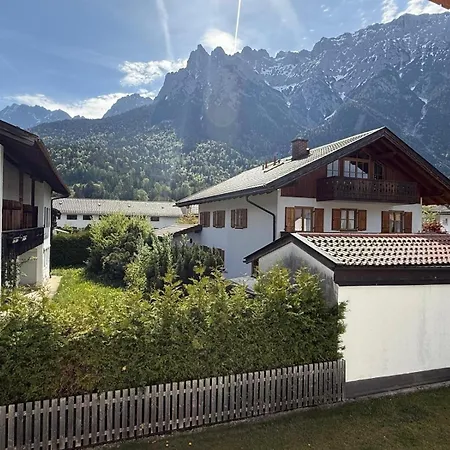Alpensegler * ميتنوالد